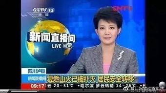 央视新闻爆料者是谁啊图片,是谁勇敢揭露真相？